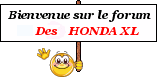 Bonjour, bonjour (Honda 125 XR 1980) 3138783321